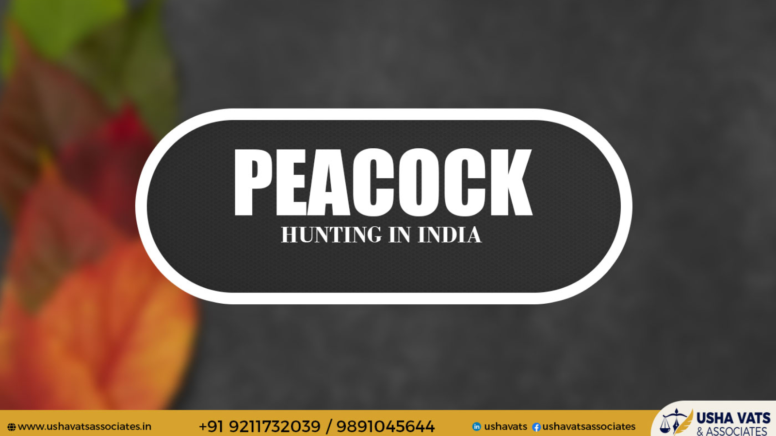 BEST ADVOCAT IN DELHI