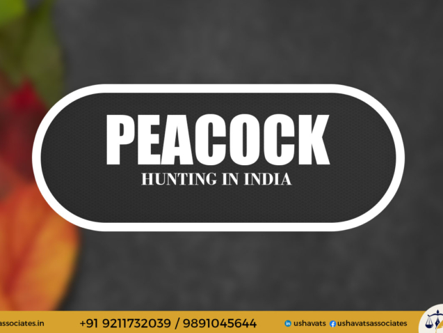 BEST ADVOCAT IN DELHI