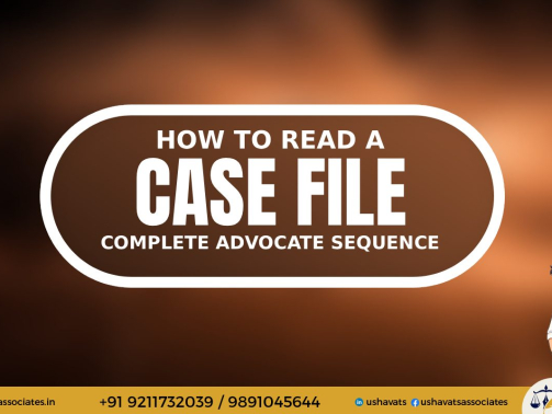 Best Female Advocate in Delhi - How to read court file