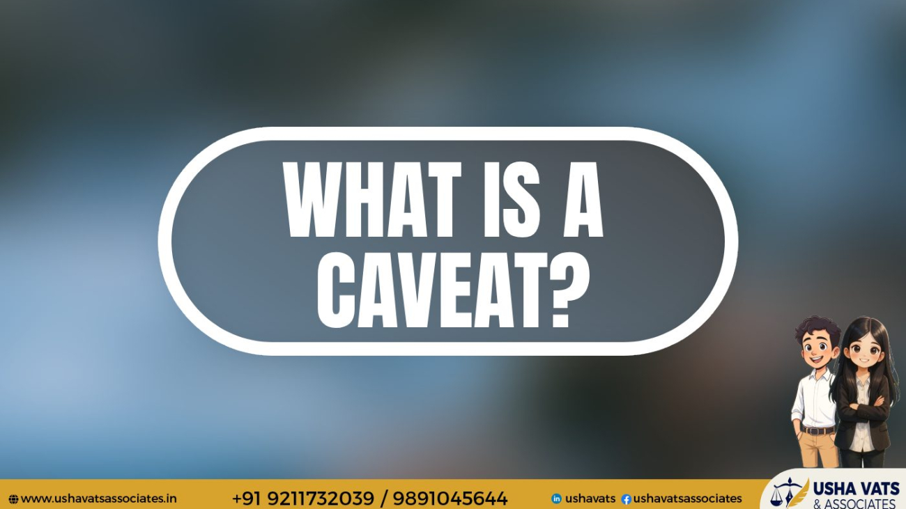 Best Female Advocate In Delhi - Usha Vats & Associates