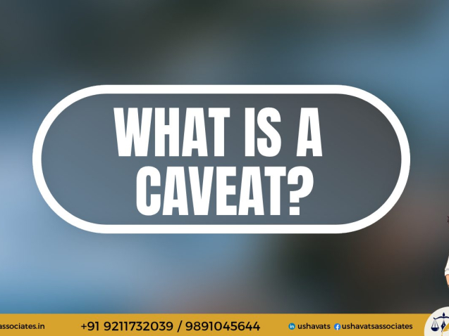 Best Female Advocate In Delhi - Usha Vats & Associates